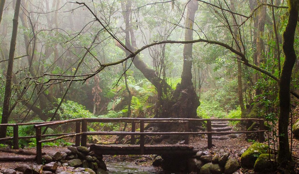¿Conoces las 2 leyendas fascinantes de La Gomera?: secretos, espíritus y tragedia