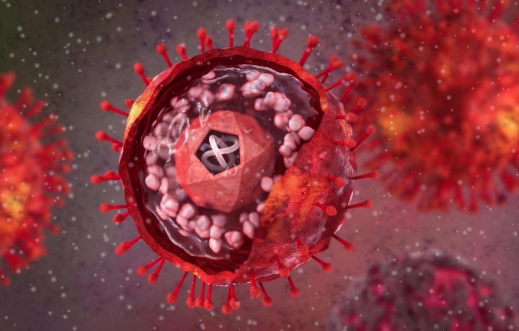 Acelera el herpesvirus el Alzheimer