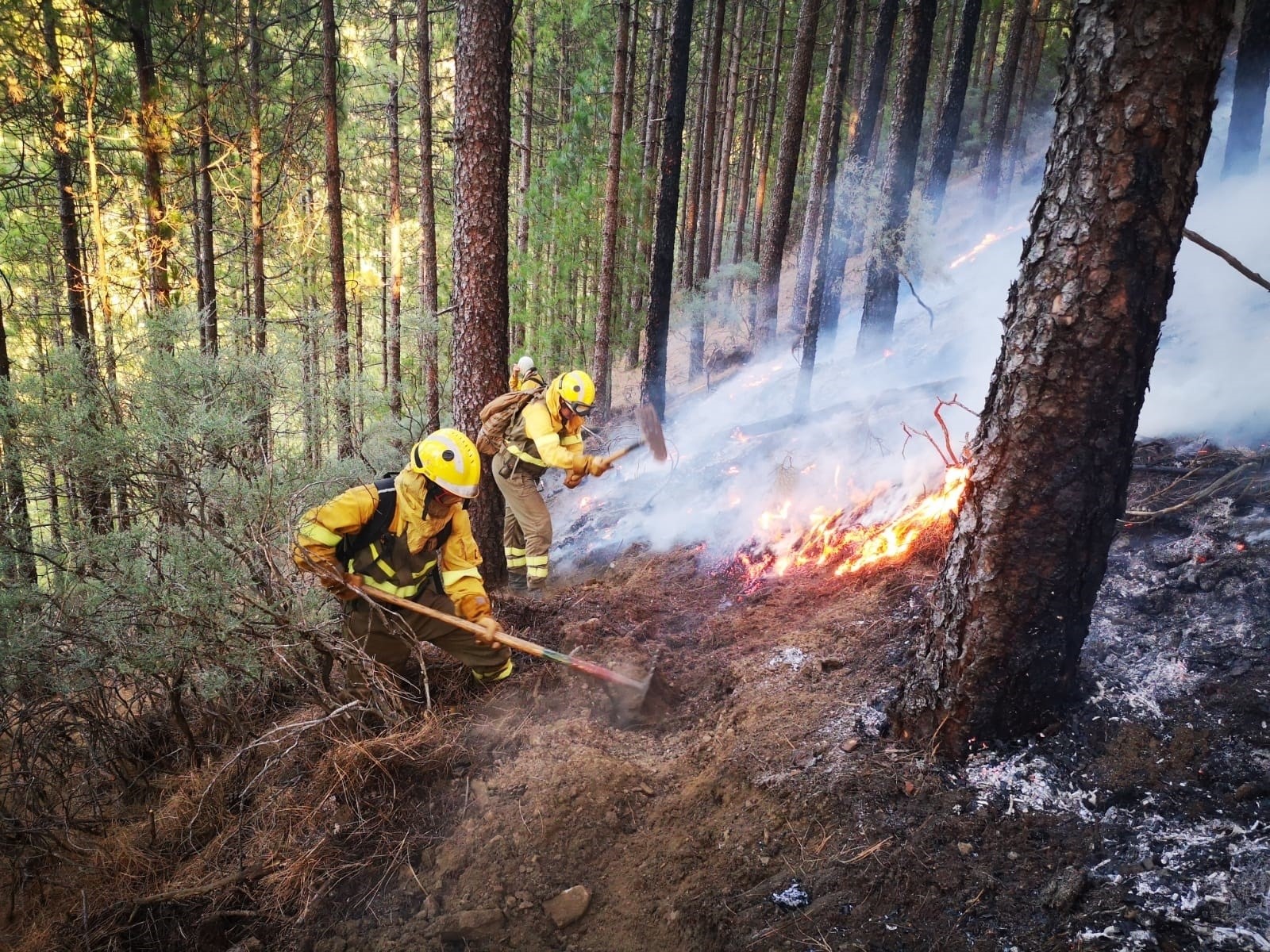 Efectivos de la BRIF de Puntagorda intervienen en las labores de extinción de un incendio.