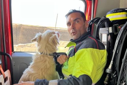 Bomberos de Gran Canaria rescatan a Olaf, un perro que pasó días en un depósito