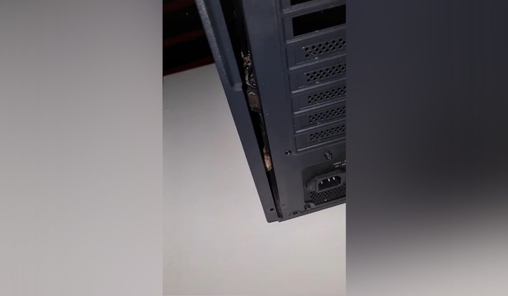 Escucha un ruido dentro de su ordenador apagado y, cuando lo abre, se lleva el susto de su vida
