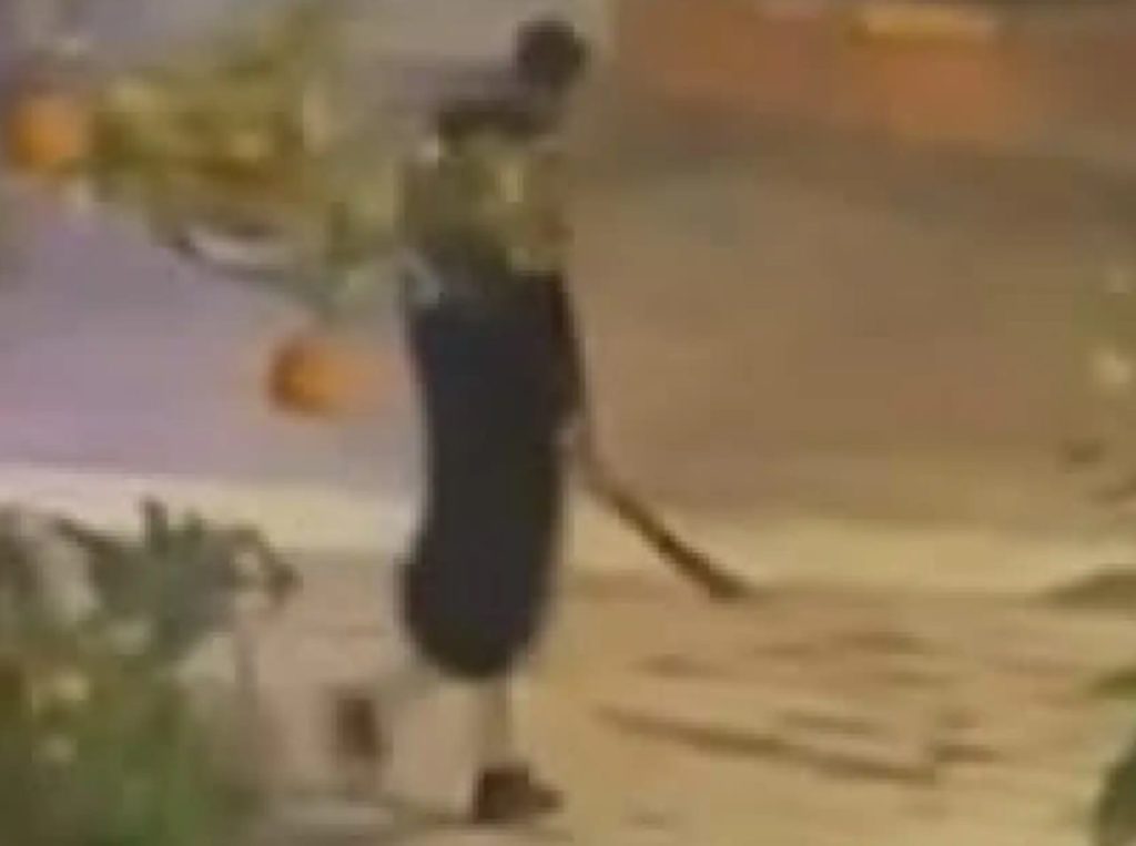 Un hombre con un machete mata a un sacristán y deja un herido en una iglesia de Algeciras