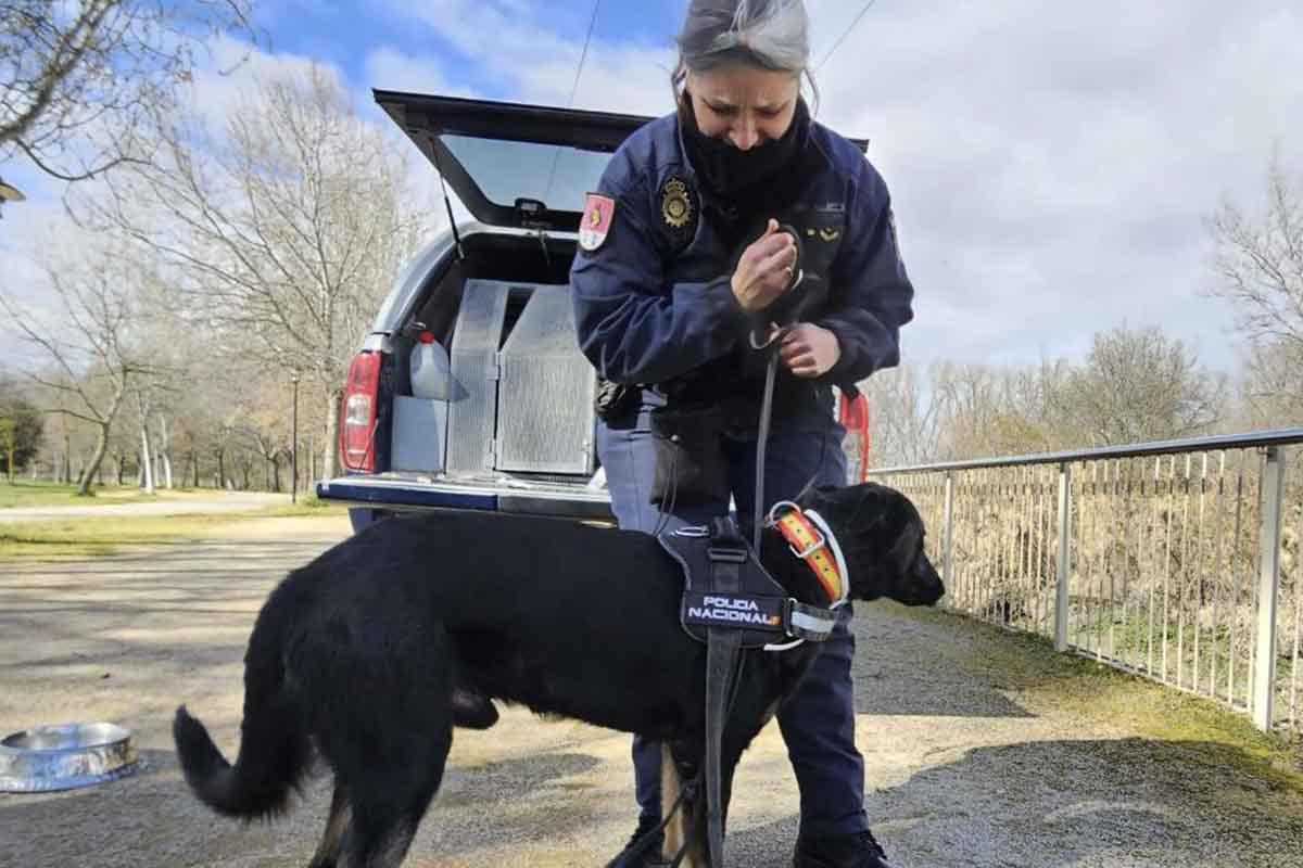 Menores desaparecidos Canarias
