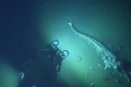 descubrimiento científicos océanos
