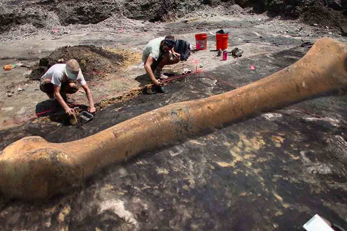 Científicos e investigadores descubrimiento