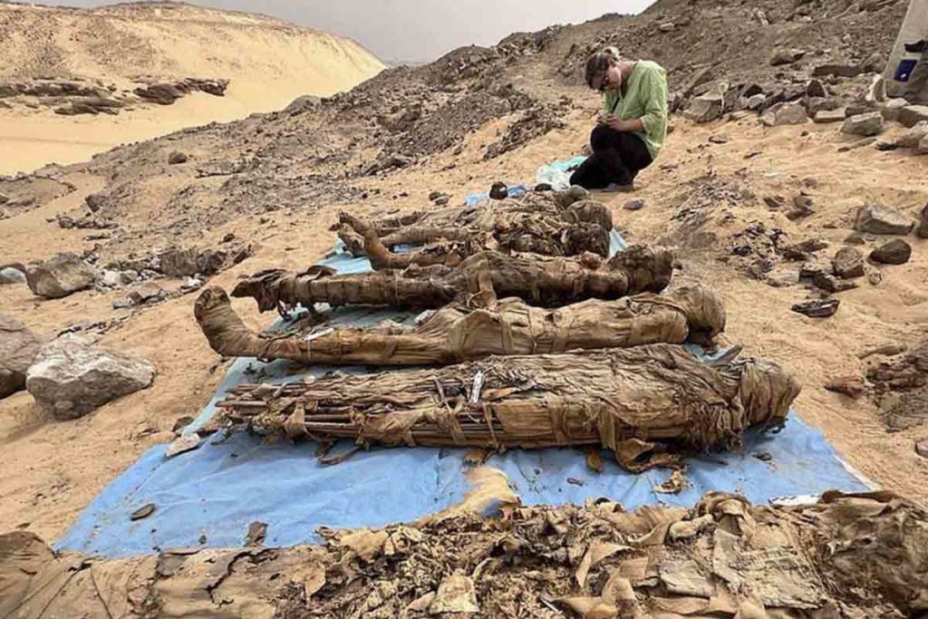Arqueólogos Egipto científicos