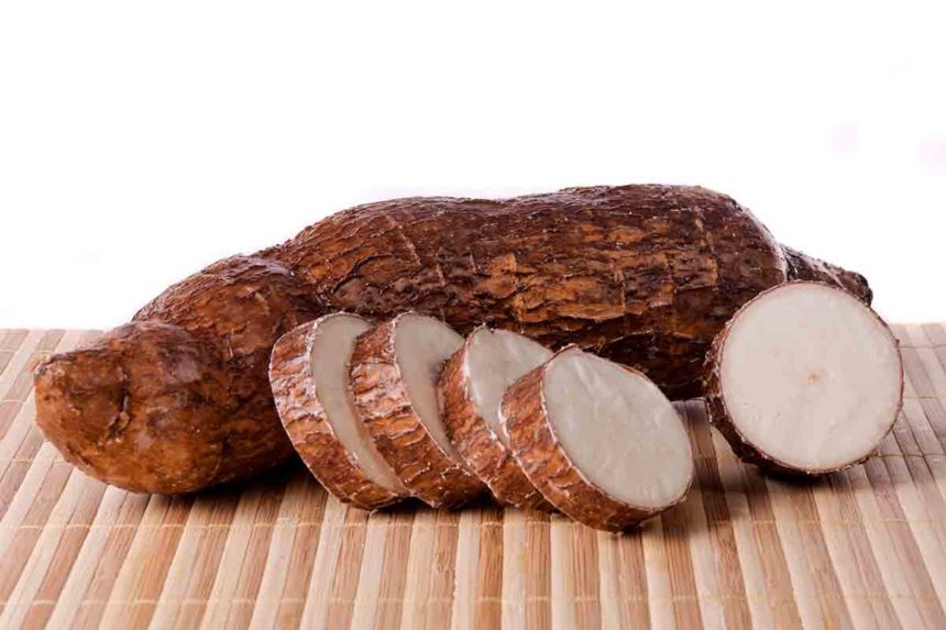 alimento yuca