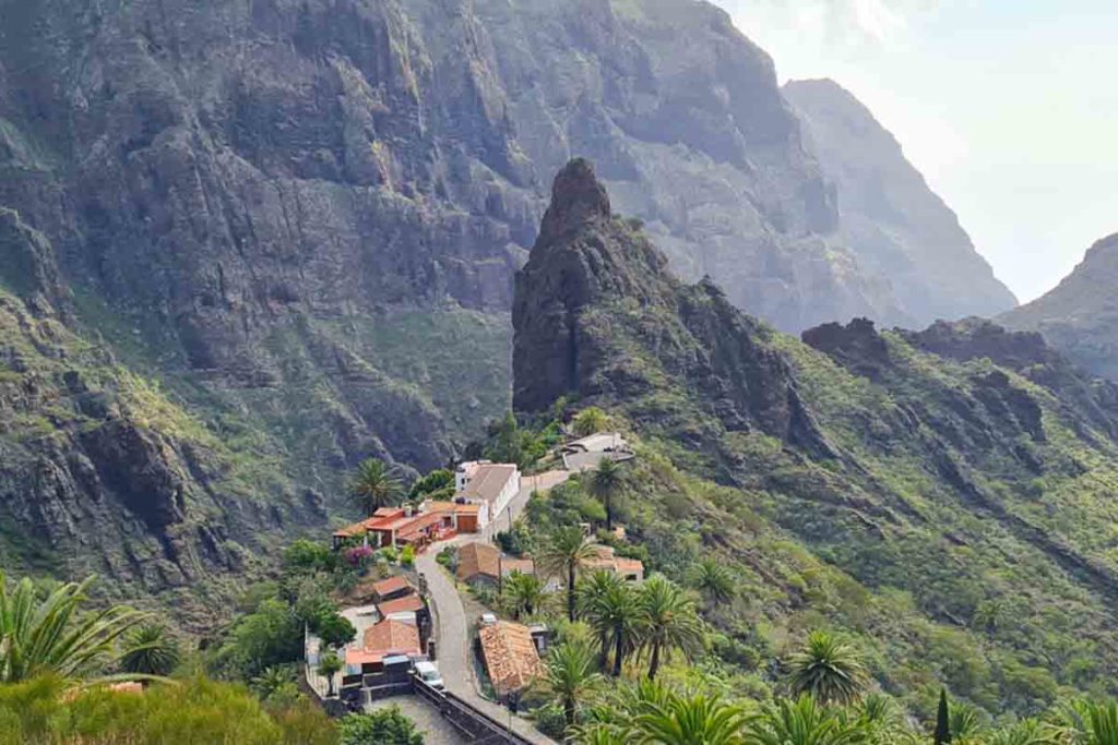 Maca Tenerife