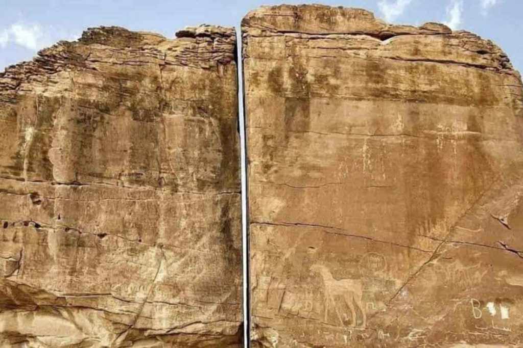 roca científicos
