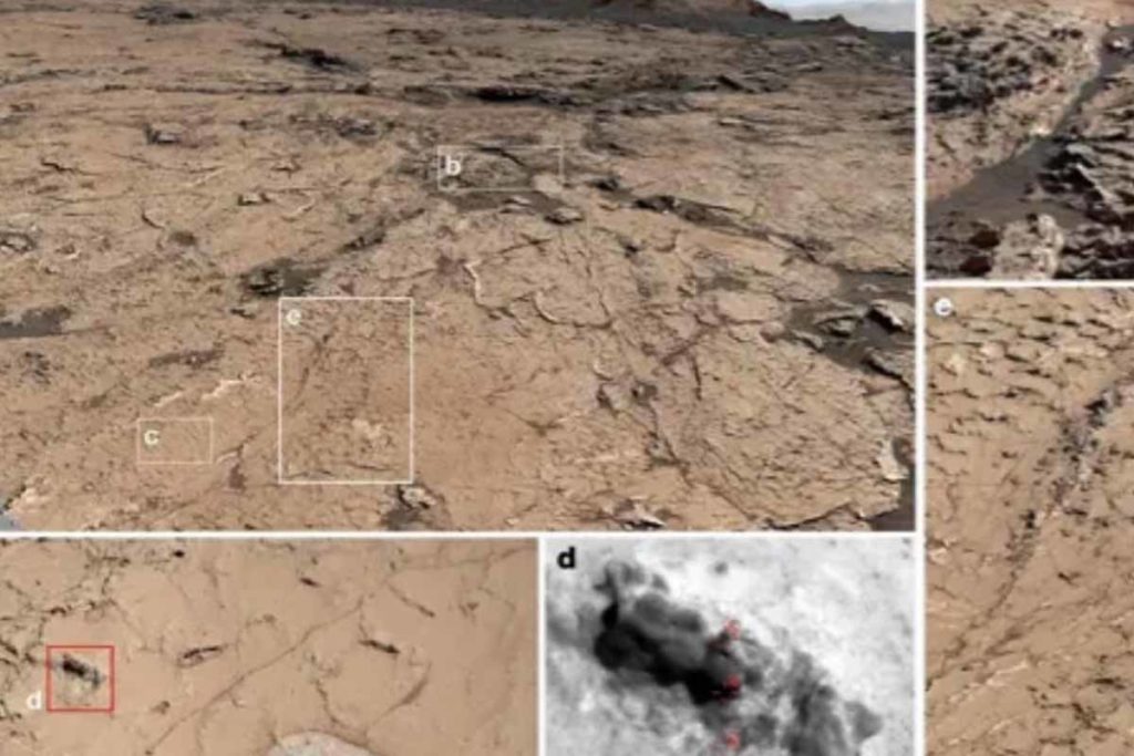 Vida en Marte según la ciencia