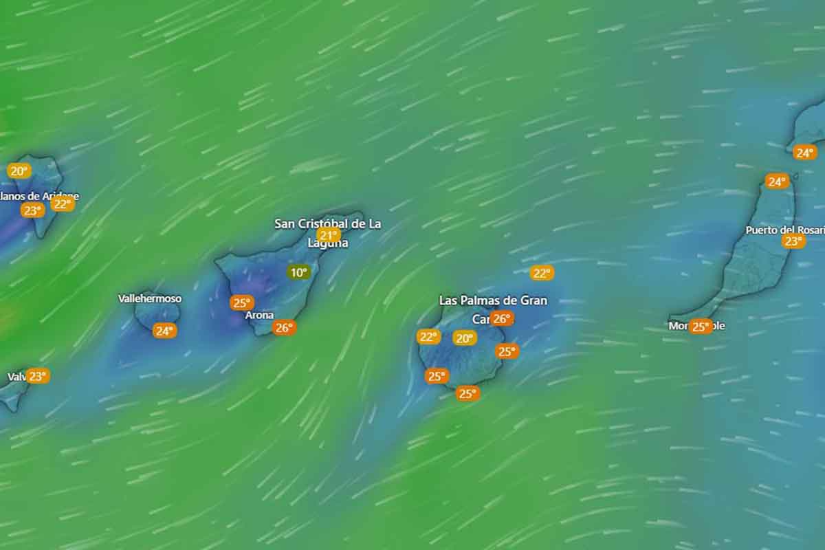 El tiempo Canarias AEMET DANA