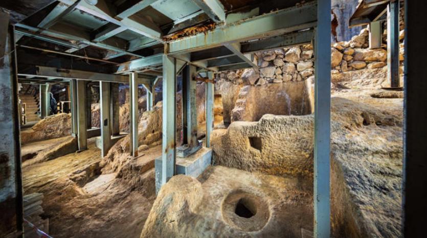 arqueólogos ciencia descubren