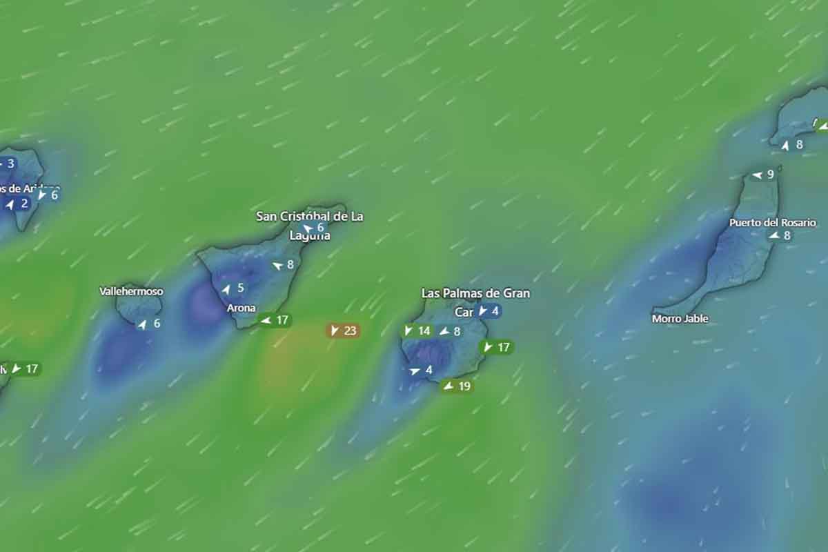 el tiempo canarias AEMET