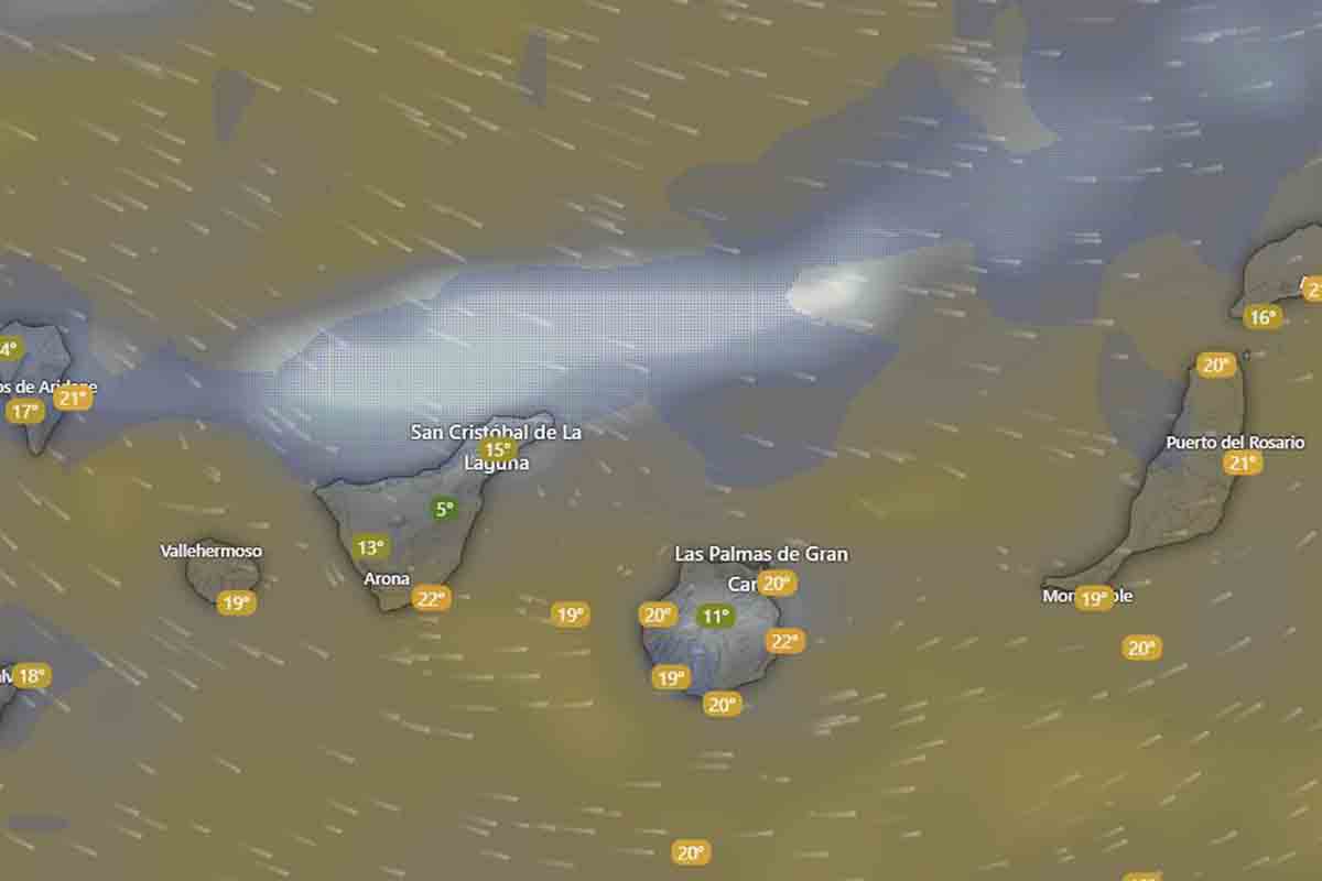 borrasca AEMET Canarias tiempo