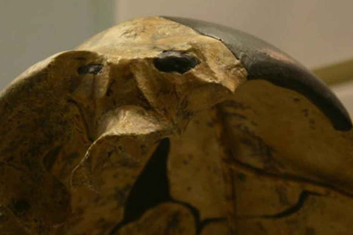 arqueólogos investigadores cráneo humano