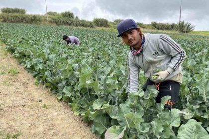 Trabajadores ilegales Fuerteventura sucesos