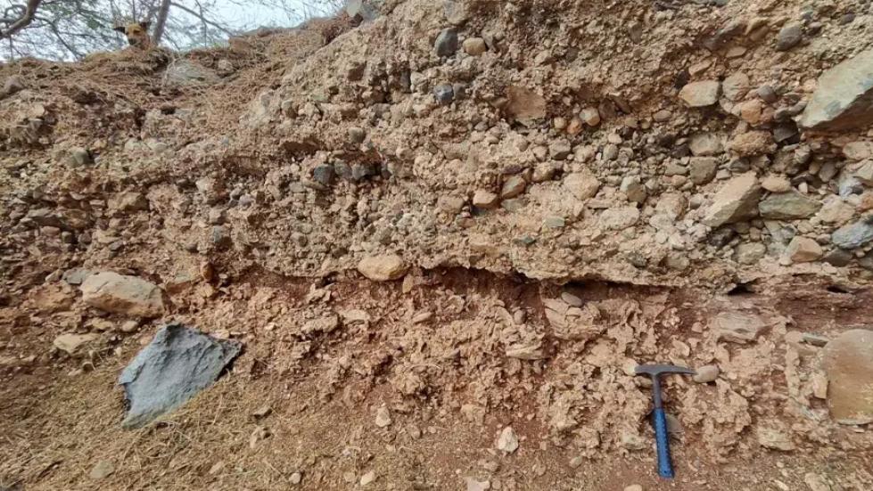 Fósiles en Cabo Verde y Tenerife revelan megatsunamis que arrastraron especies marinas frías hasta regiones tropicales como Canarias