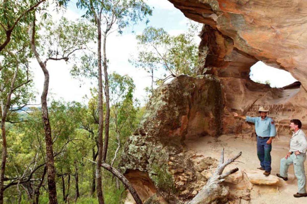 Criatura extinta Australia ciencia descubrimiento