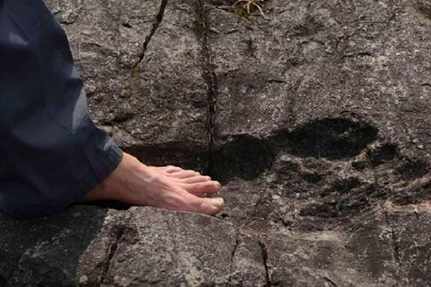 huellas descubrimiento científicos ciencia Australia