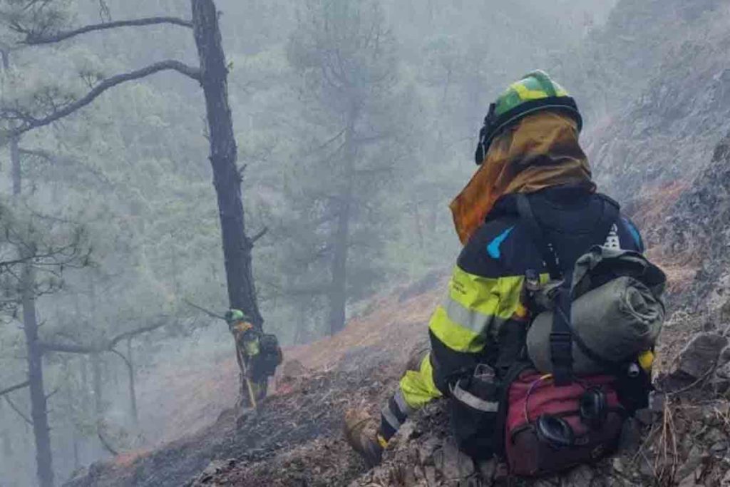 Incendios Gran Canaria Alertas