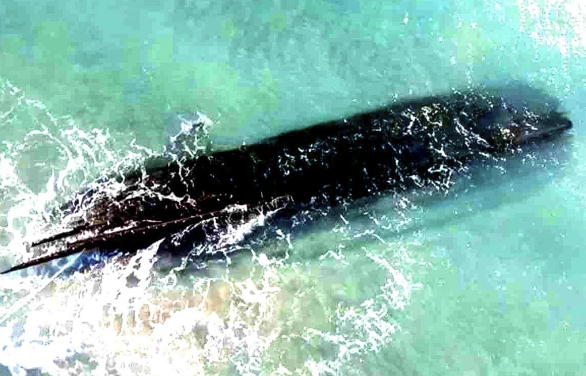 Arqueólogos descubrimiento naufragio Canadá