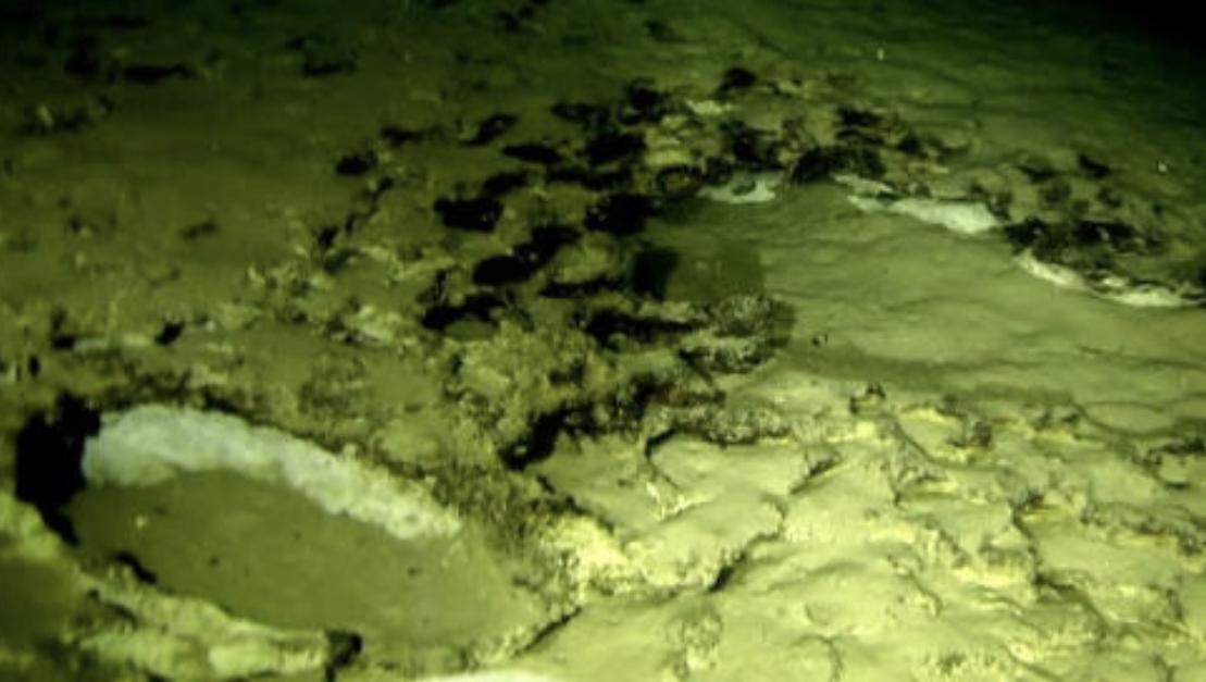 Montículo circular descubierto por el robot submarino