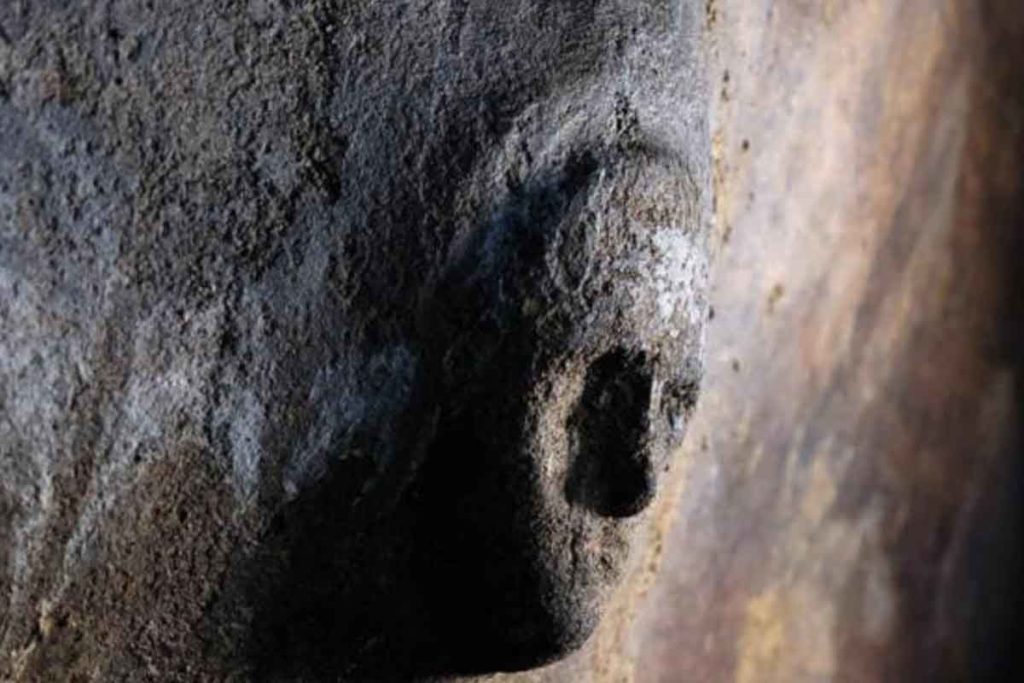 Descubrimiento científicos excavación