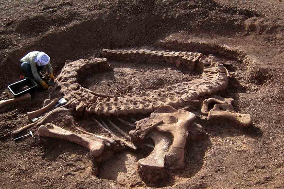 Descubrimiento arqueólogos dinosaurio