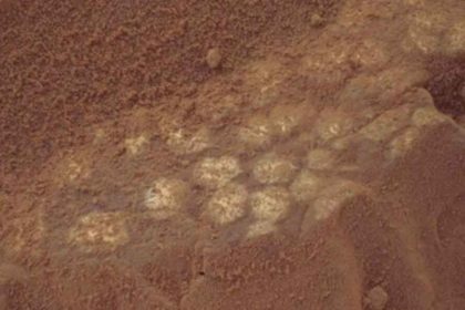 Marte descubrimiento científicos NASA