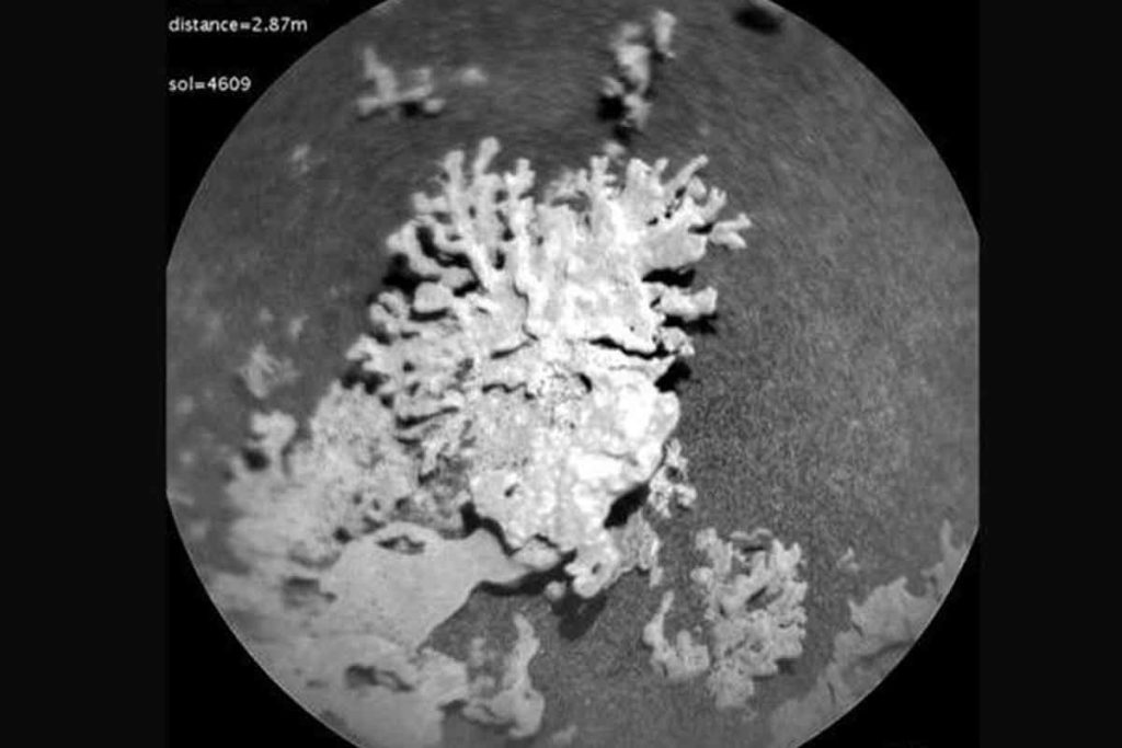 Marte NASA descubrimiento científicos
