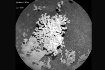 Marte NASA descubrimiento científicos