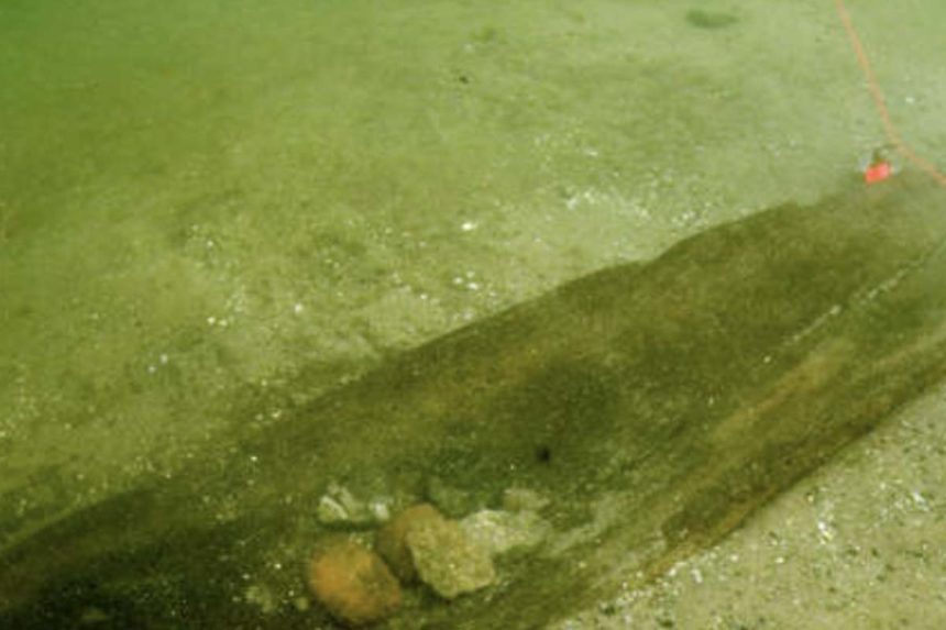 Descubrimiento de unas canoas en el fondo de un lago - NATUR