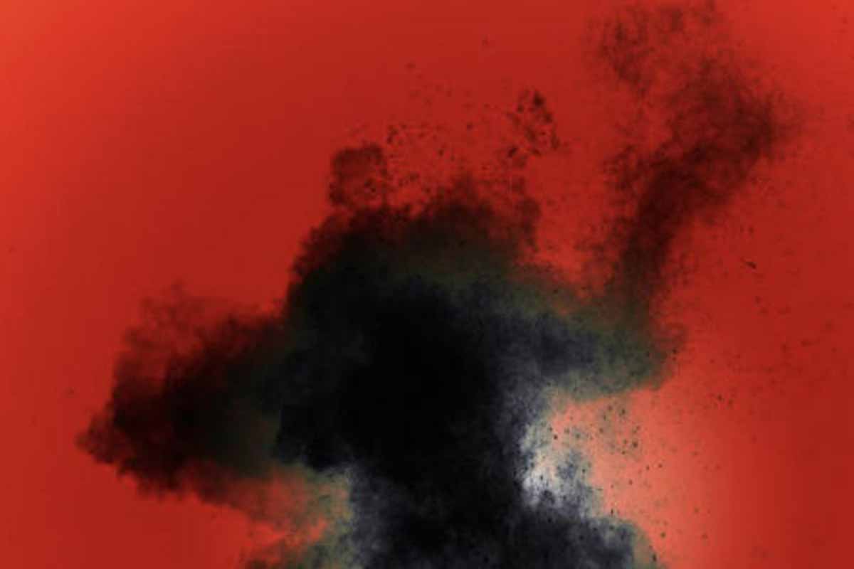 Criatura descubierta por los científicos - SCIENCE