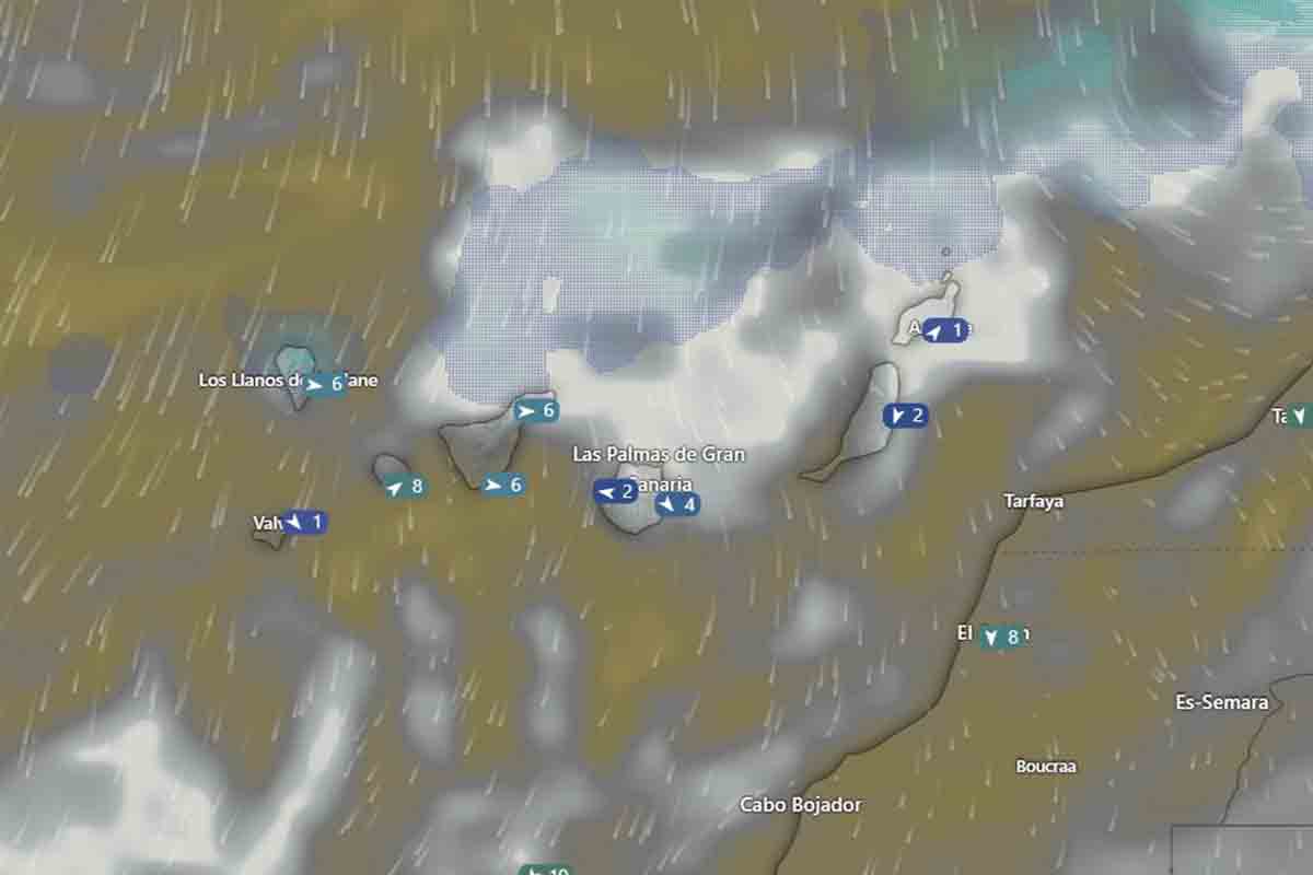 El tiempo en Canarias meteo - AEMET