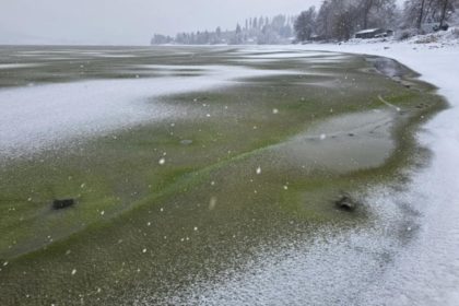Científicos observan hielo verde en el lago Lipno debido a una acumulación inusual de cianobacterias bajo el hielo