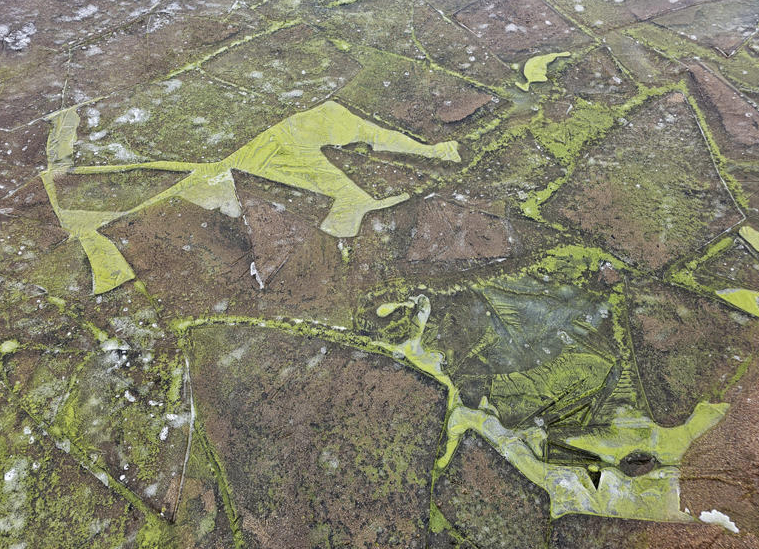 Científicos observan hielo verde en el lago Lipno debido a una acumulación inusual de cianobacterias bajo el hielo