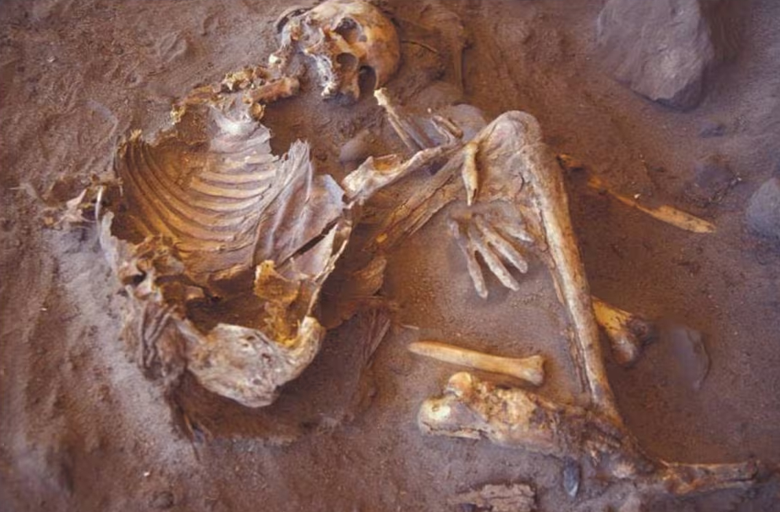Científicos analizan momias neolíticas del Sahara Verde y descubren un linaje humano norteafricano aislado durante miles de años