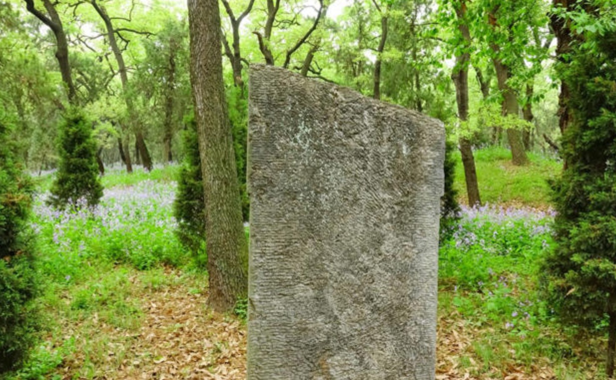 Imagen del bosque de Derbyshire con piedras megalíticas donde se produjo el descubrimiento de un complejo ritual de la Edad del Bronce