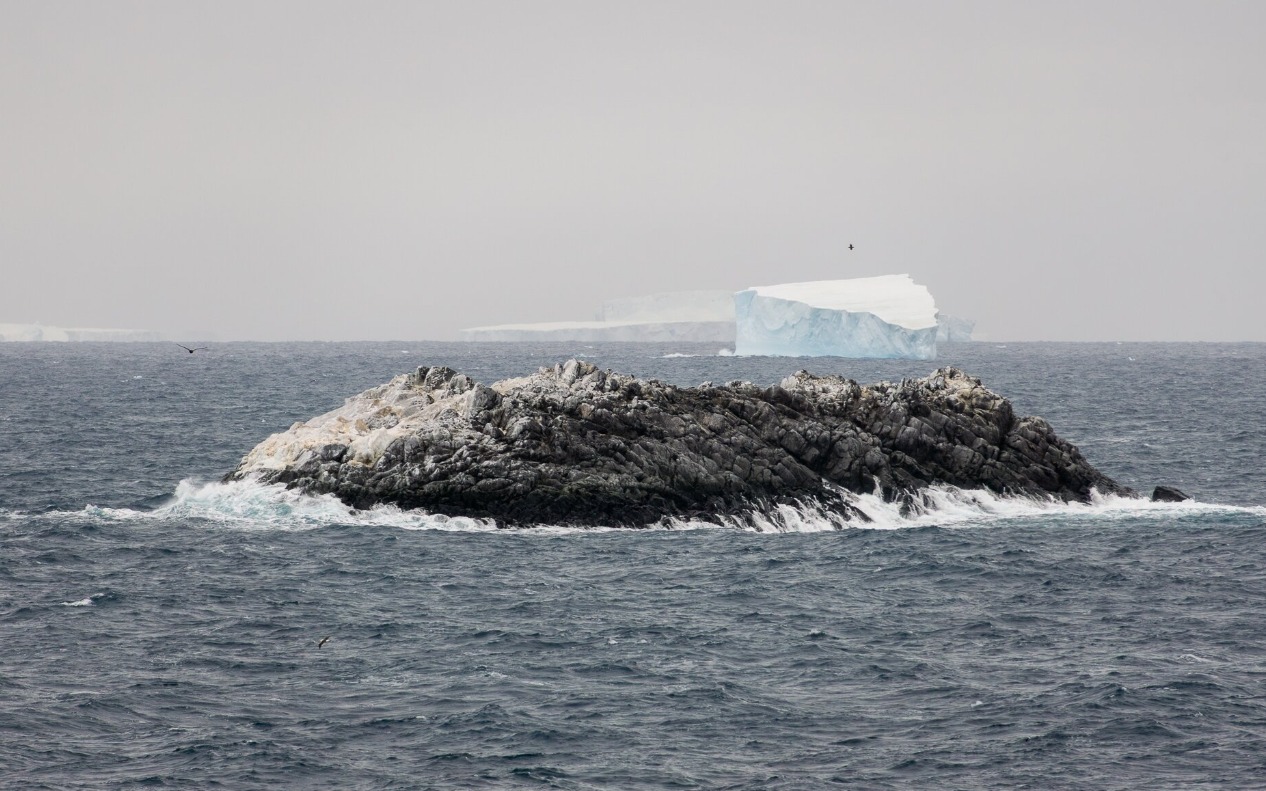 Imagen de la nueva isla rocosa descubierta por la expedición SWOS en el noroeste del mar de Weddell, en la Antártida, una formación de 130 metros de largo y 16 metros de altura sobre el nivel del mar - NAUTE