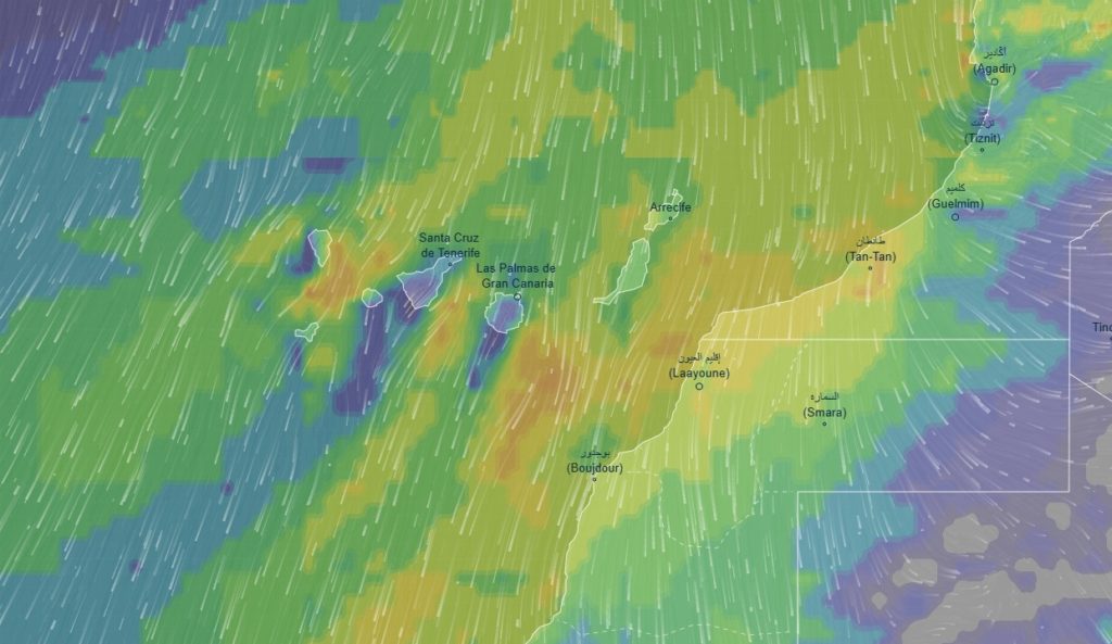 Canarias arranca la semana con viento muy fuerte y calor en medianías: la previsión de la AEMET por islas