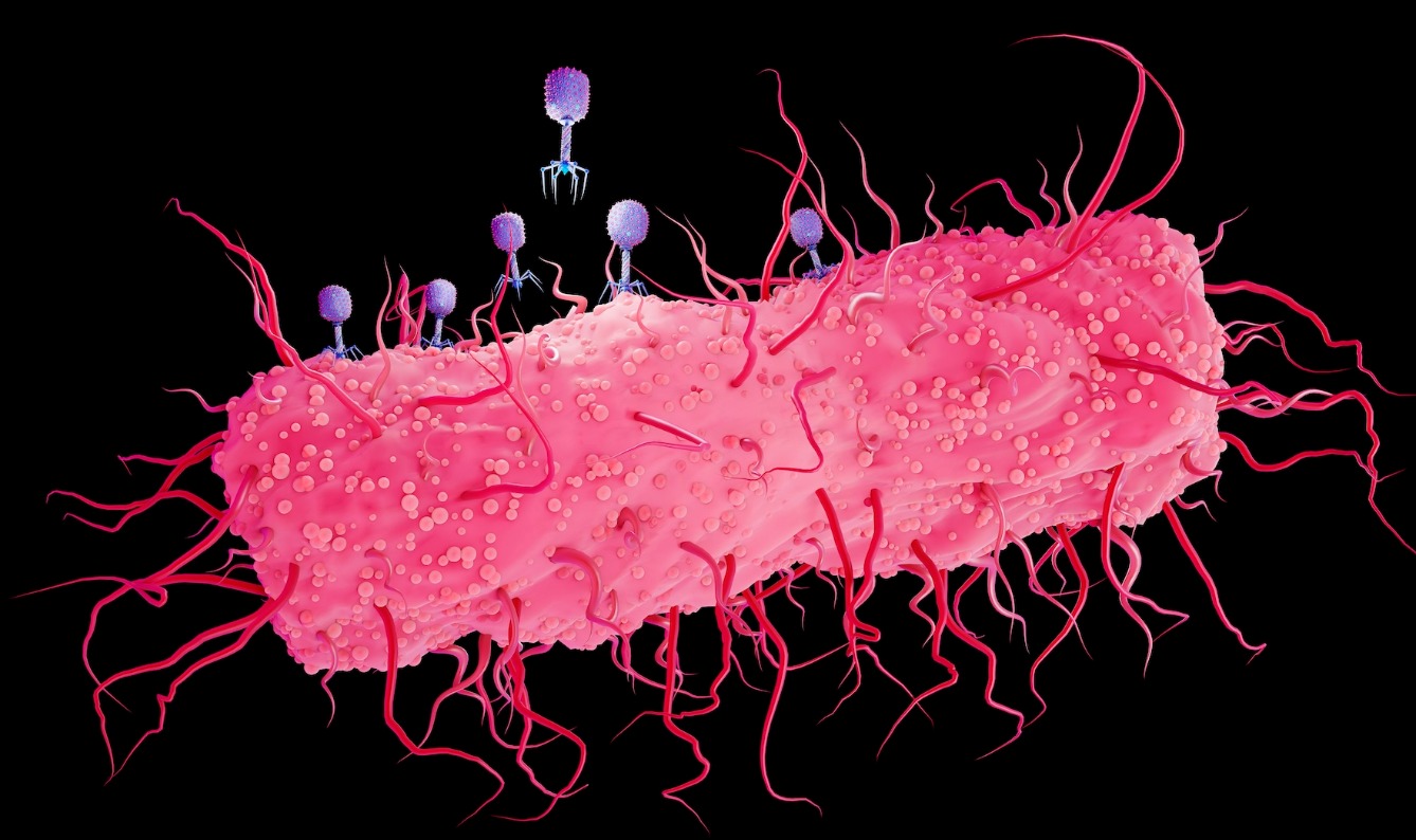¿Y si bajo el océano hay vida microbiana que lleva un millón de años esperando algo que aún no entendemos? La teoría que sacude la biología
