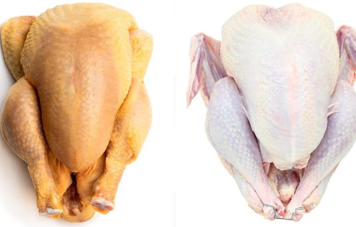 Pollo amarillo beneficios