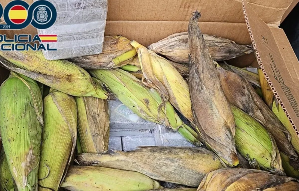 Sustancias ilegales en Canarias