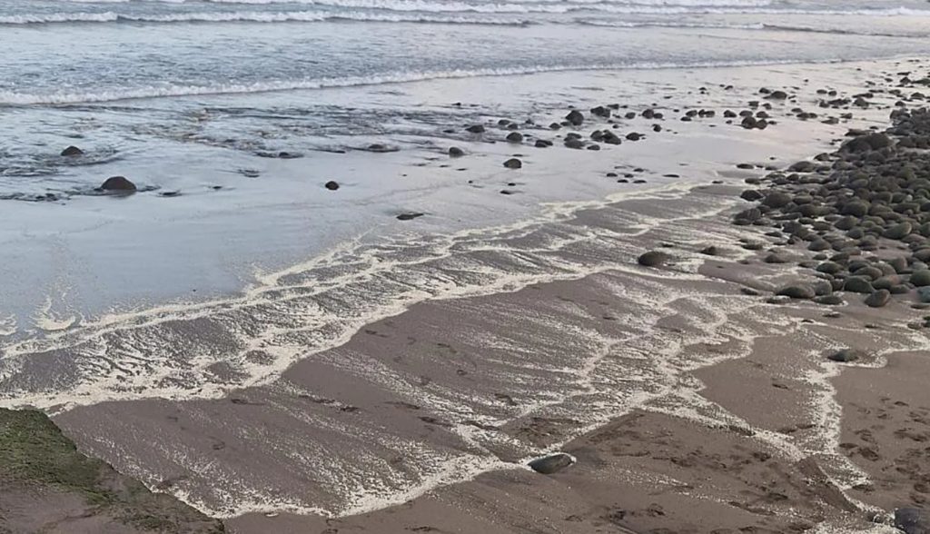 Costa de Canarias