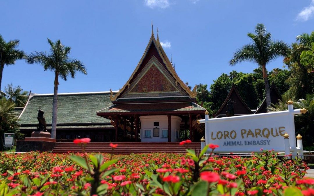 Loro Parque anuncia su reapertura para el 1 de mayo