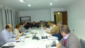 Reunión de la Comisión de Política Territorial y Medio Ambiente de la Fecam, que preside Pedro Martín. / DA
