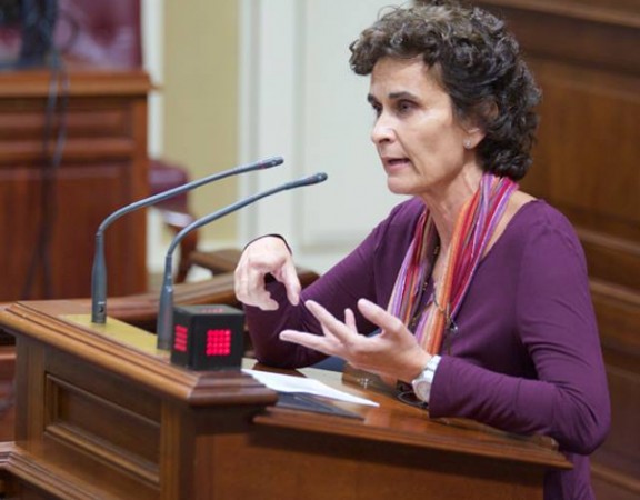 Asunción Delgado, durante una intervención en el Parlamento de Canarias. / DA