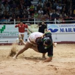 luchada Santa Ursula Tijarafe Llano del Moro