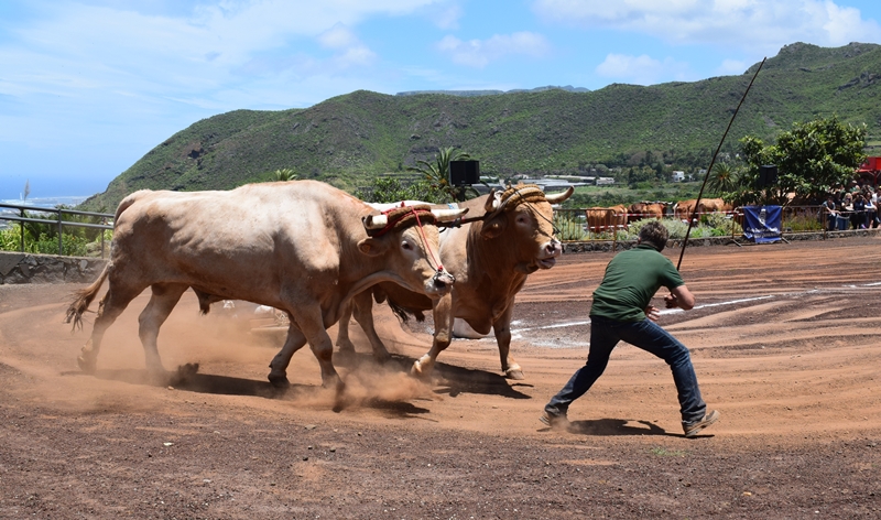Arrastre Valle de Guerra