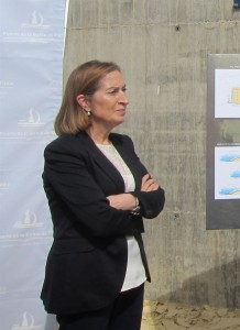 Ana Pastor